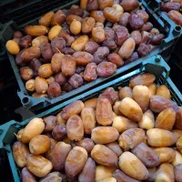 رطب عسلی نوبرانه