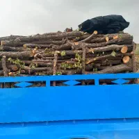 خرید چوب و هیزم باغی.|خدمات باغبانی و درختکاری|شاهرود, |دیوار