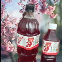 فروش ویژه ی ابمیوه سوگلی اصل