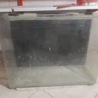 آکواریوم شیشه خم|ماهی|فردیس, شهرک وحدت|دیوار