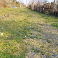 فروش فوری قطعه زمین باغی ۵۰۰متری منطقه بکر اطاقور|فروش زمین و ملک کلنگی|اطاقور, |دیوار