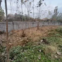 زمین-مسکونی-با-مجوز-ساخت290متری-برآسفالت-محلی