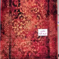 زیبا لاکی ۲۵۵۰ تراکم