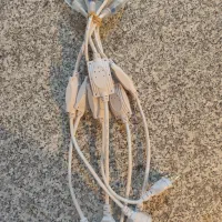 رابط ریسه شلنگی