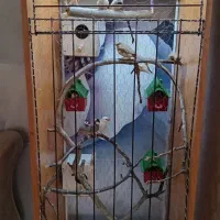 قفس|لوازم جانبی حیوانات|مشهد, امیریه|دیوار