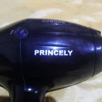 سشوار2200  وات پرینسلی|آرایشگاه و سالن‌های زیبایی|گرگان, |دیوار