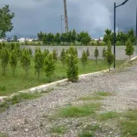 یه زمین الحاق به بافت بی نظیر/۱۵۶متری خوش قیمت|فروش زمین و ملک کلنگی|آمل, |دیوار
