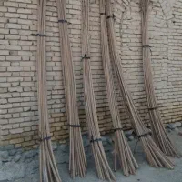 فروش شاک تمیز برای خیار ۵متری.و اجاره سیخو ۵متری