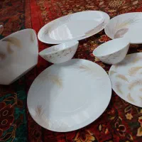 ارکوپال مدل پر|ظروف سرو و پذیرایی|تهران, شهرک گلها (تهرانسر)|دیوار