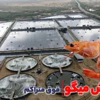 خرید بولدزر و بیل مکانیکی، فروش سهام مزرعه میگو|فروش دفتر صنعتی، کشاورزی، تجاری|اسلام‌شهر, ملک‌آباد|دیوار