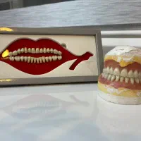 دندانسازی ،دندان مصنوعی ،با ضمانت ،آلمانی ،منصوری