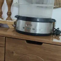 بخار پز