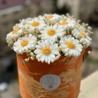 لوازم سنگ مصنوعی ورزین وشمع  معاوضه با زرشک زعفران