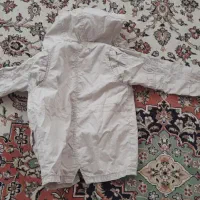 بارونی پسرانه