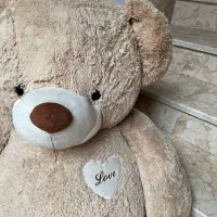 تدی|اسباب‌بازی بچه|تهران, ابوذر|دیوار