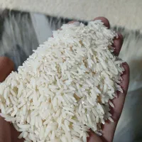 برنج کشت ۲|خوردنی و آشامیدنی|دابودشت, |دیوار