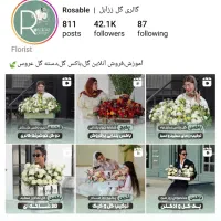 ادمین و طراح پیج اینستاگرام هستم