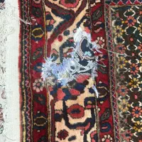 فرش ۹متری مشهد|فرش|ری, علایین|دیوار