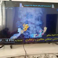 تلویزیون ۴۹|تلویزیون و پروژکتور|اشتهارد, |دیوار