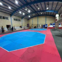 مربی خصوصی (حرکات اصلاحی ، امادگی جسمانی)