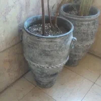 گلدان کوزه ای دهنه ۶۰   سانت دو عدد|گل و گیاه طبیعی|تهران, صادقیه|دیوار
