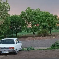 پیکان مدل ۸۱