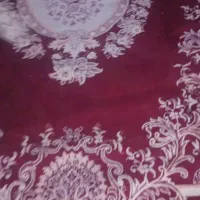 قالی ومگاعد|فرش|آبادان, |دیوار