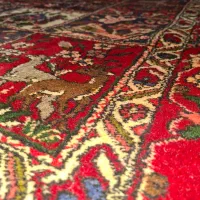 قالی دست‌باف قدیمی|فرش|اصفهان, سپاهان‌شهر|دیوار