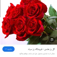 اسند گل