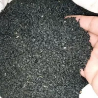 بذر پیاز قرمز