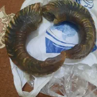 چاقو کلکسیونی|کلکسیون اشیاء عتیقه|چوار, |دیوار