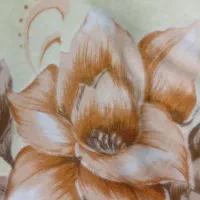 پتو شادیلون 2نفره