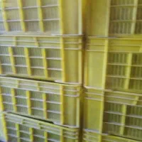 سبد 2 کیلویی