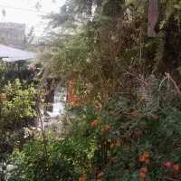 راهنمای رهن خانه