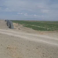 فروش-یا-معاوضه-500متر-زمین-باغی-نقدواقساط