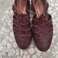 کفش|کیف، کفش، کمربند|نوشهر, |دیوار