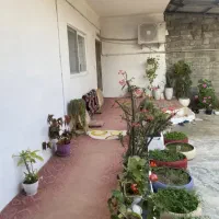 ویلا فلت شیک و تمیز با سند تک برگ  امل به سرخرود|فروش خانه و ویلا|آمل, |دیوار