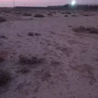 زمین مسکونی|فروش زمین و ملک کلنگی|شبانکاره, |دیوار