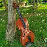 ویالون ،4/4، کارکرد خیلی کم،|ویولن|رامسر, |دیوار