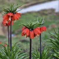 سرمایه گذار و شریک برای مغازه