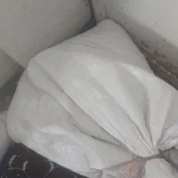 گندم