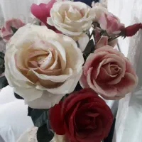 گل رز وگل همیشه بهار
