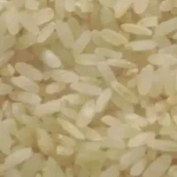 برنج فجر نورابادی رستم ( دهنو )