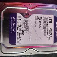 هارد اینترنال ۱ ترا بنفش HDD 1TB WESTERN