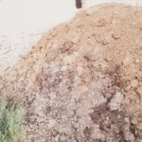 بار گاو خشک