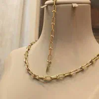 زنجیر و گردنی های جذاب و خوش نما|جواهرات|شیراز, بازار|دیوار