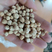 نخوددرجه یک لرستان