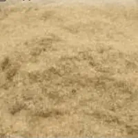 کاه دیم