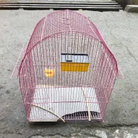 قفس مرغ عشق ، عروس ، برزیلی