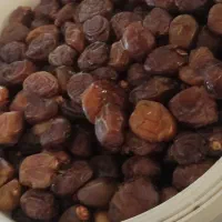 رطب خاصیون